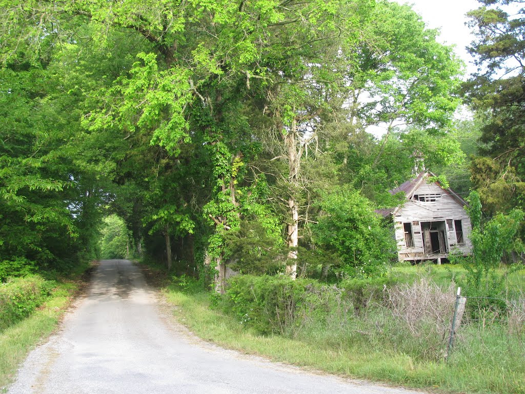 Sanders Grove School. It was a two room school with two teachers, 1st through 4th and 5th through 8th grades. Closed 1929 . Most students rode horses which were kept in a barn which is still on the site but in a state of collapse. Howard Sanders owned the