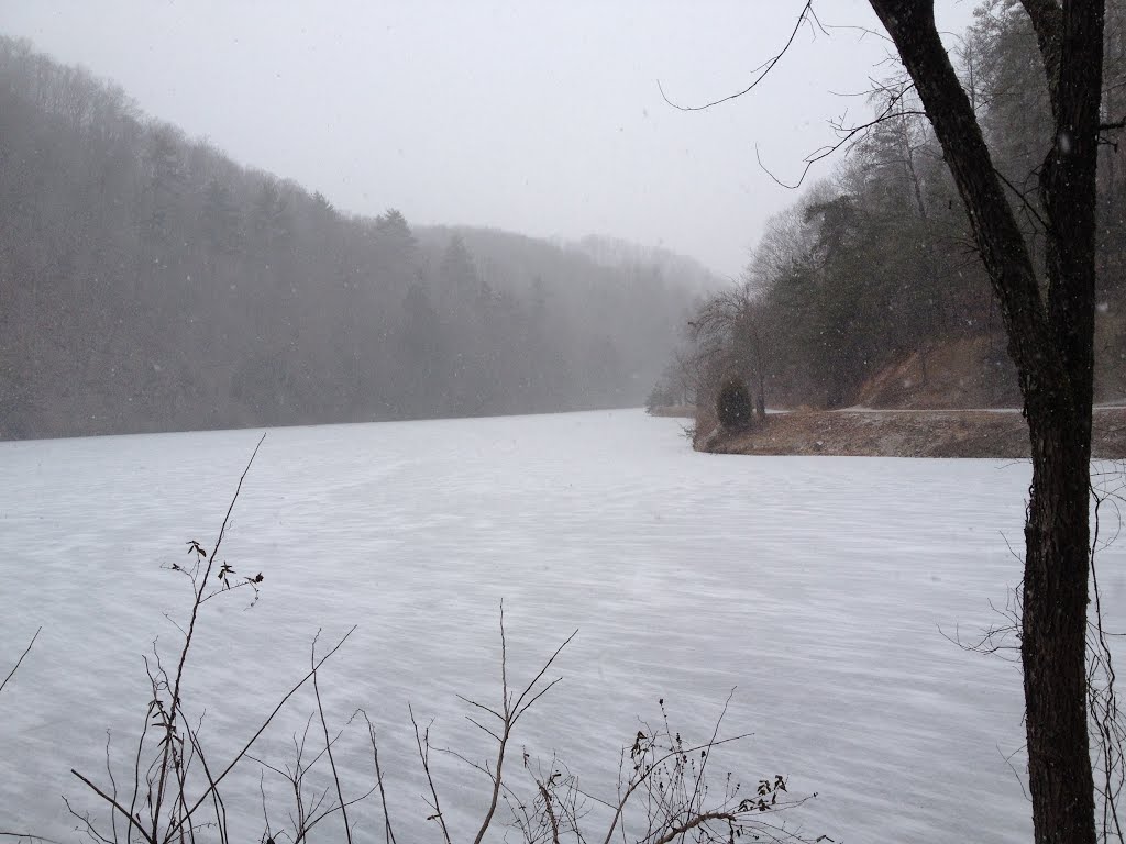 Steele Creek frozen over