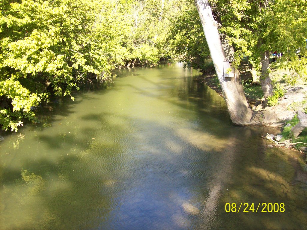River Behind Speadway