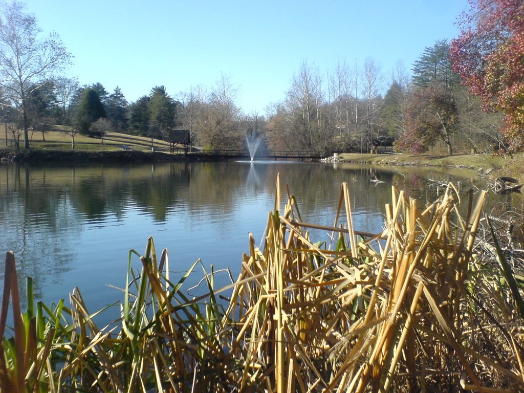 Steele Creek Park Lake