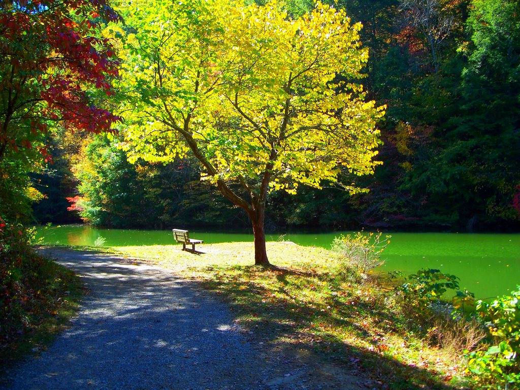 Steele Creek Park