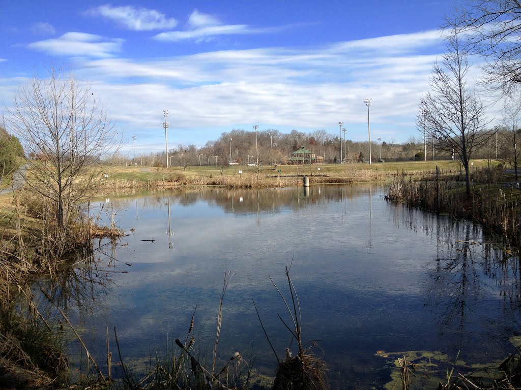 Whitetop Creek Park