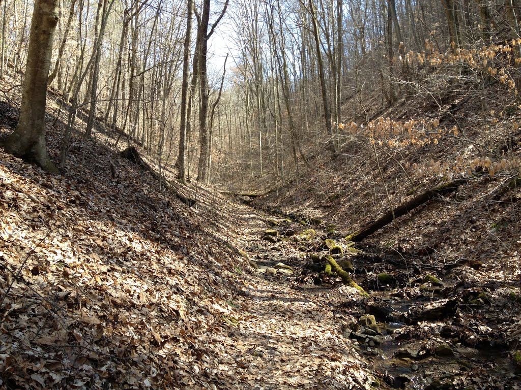 Lake Ridge Trail