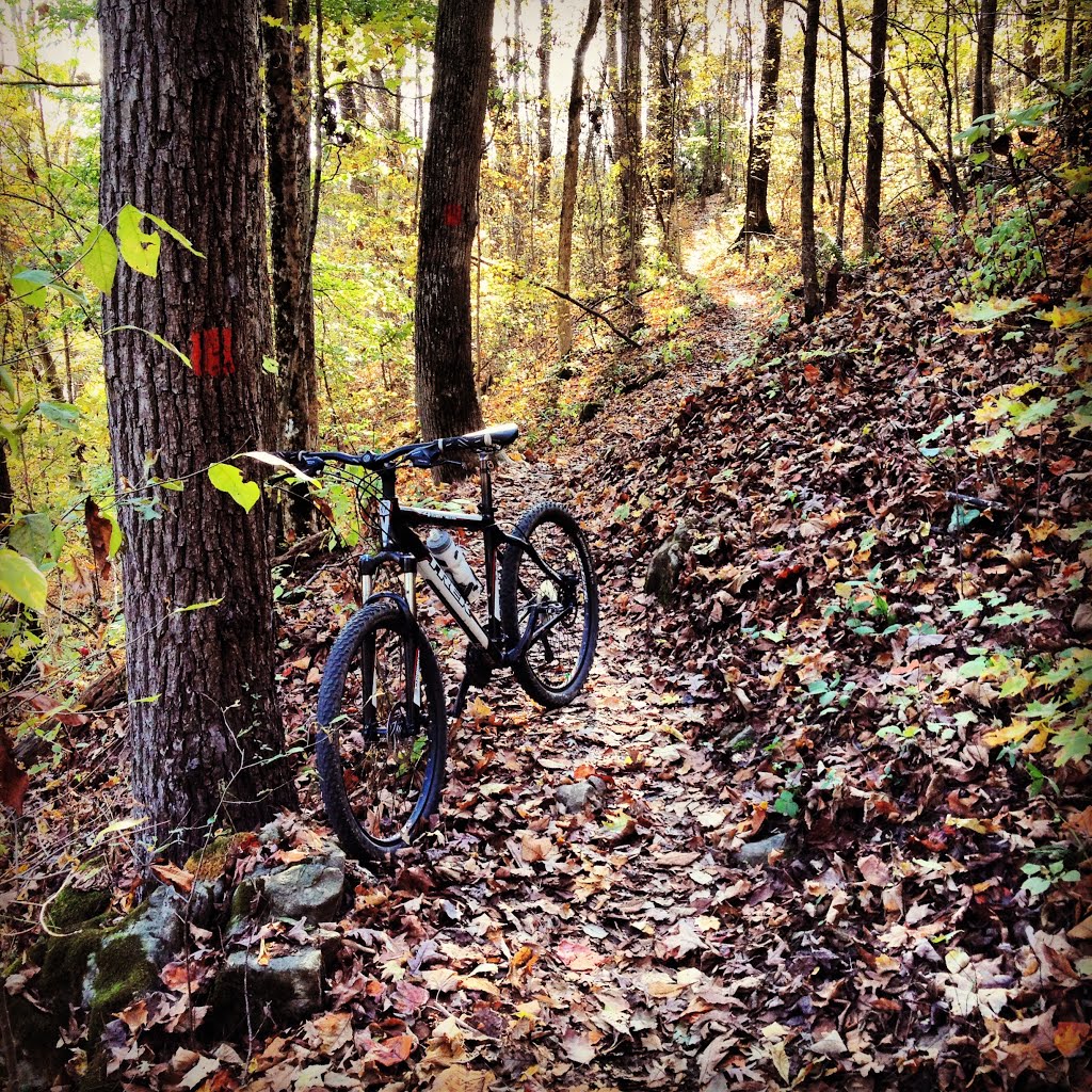 Lake Ridge Trail,
