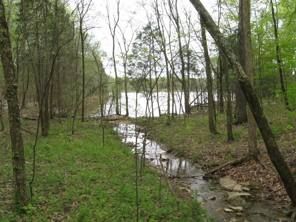 Stream feeding Percy Priest Lake