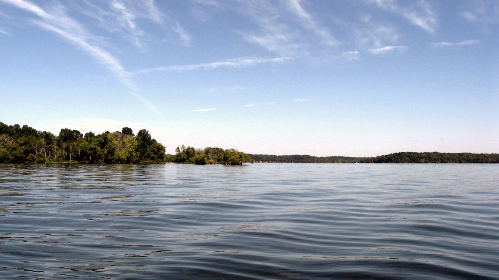 Percy Priest Lake, South East Side of Ponderosa Island, August 8, 2008, 10:30AM