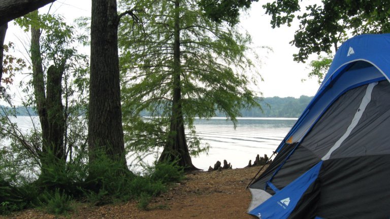 Percy Priest Lake, Ponderosa Island (Northern Tip), August 15, 2008, 07:40AM