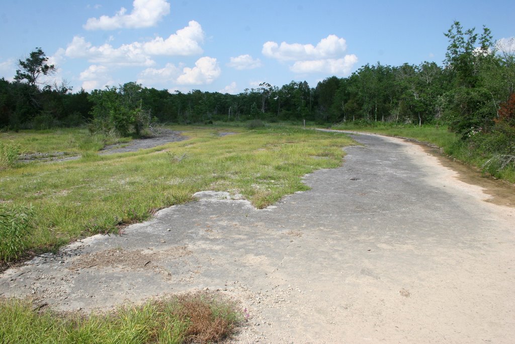 Couchville Cedar Glade
