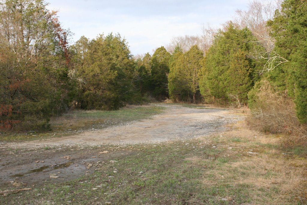 Daisy Trail Cedar Glade