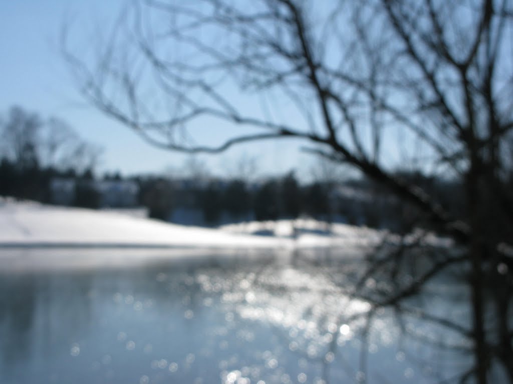 Snow in 2010 Nashville Tn.