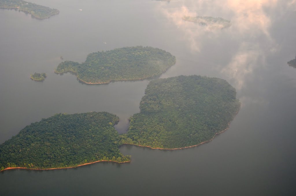 Islands in Percy Priest Lake