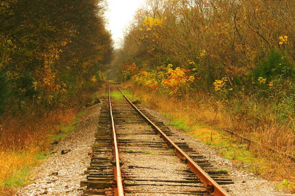 Tracking Fall