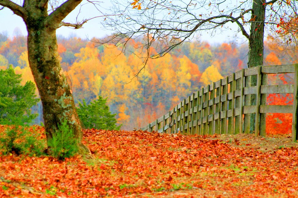 Giles Co. Tennessee