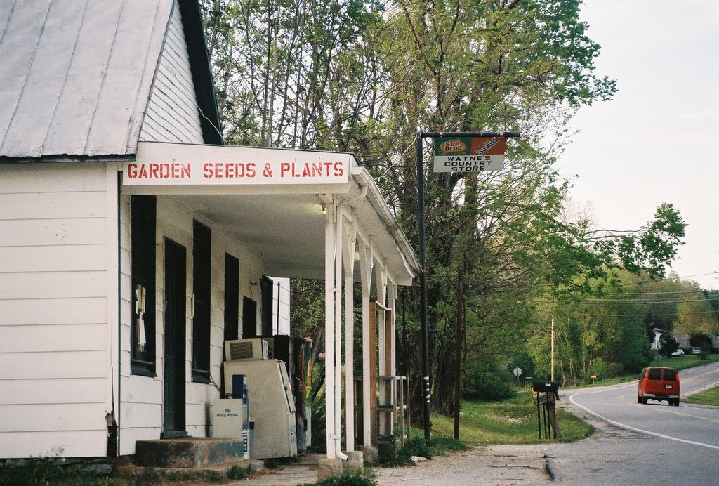 Waynes Country Store - burned down around 2009