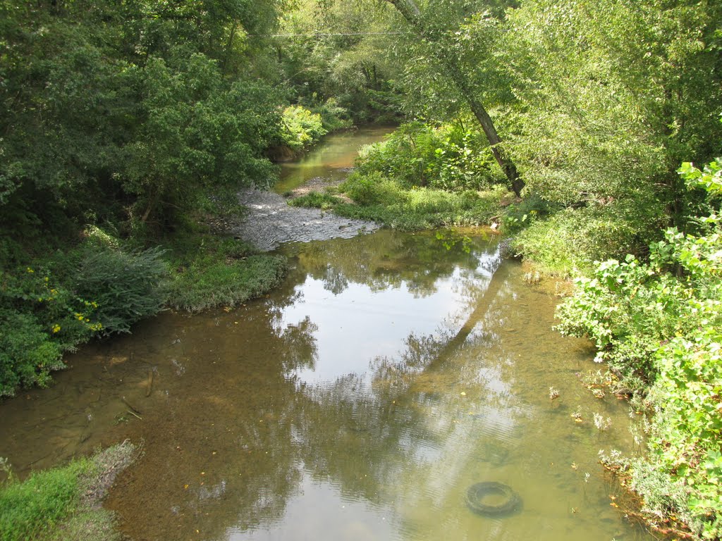 Bluewater (not) creek. Why did that tire have to be there and mess up the picture? Most of our Tennessee streams seem to have lost their charm. No bluegills,sunfish,bass or perch were seen as they may have been "once upon a time" when land conservation wa