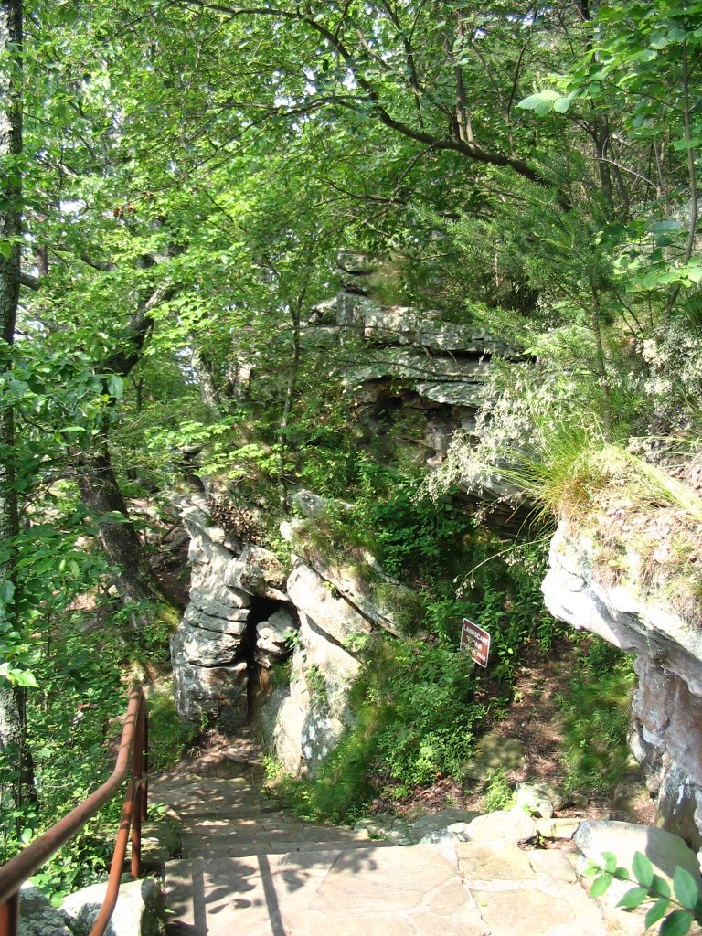 Scenery at Point Park