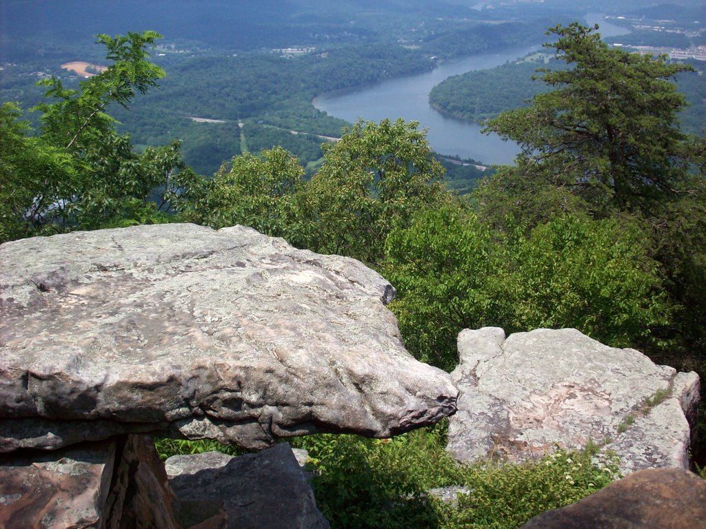 Lookout Mnt