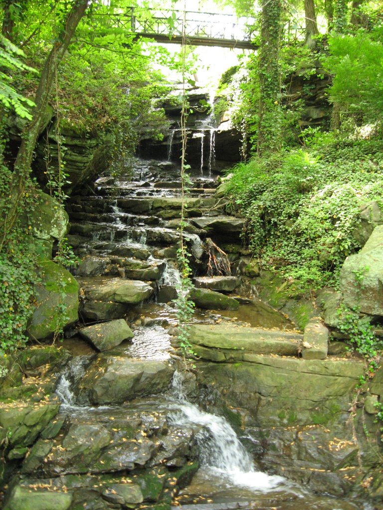 Lookout Mountain Waterfall (~25)