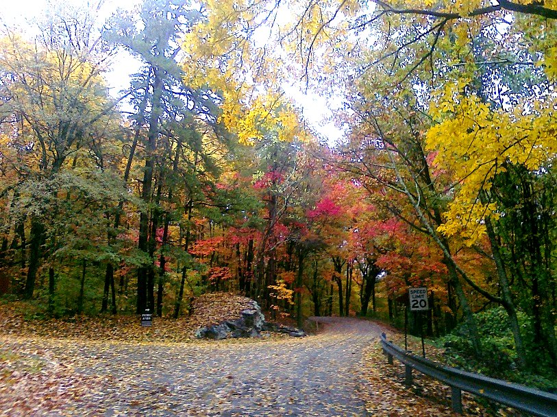 Sanders Road, just off S Scenic Hwy, Lookout Mountain, TN