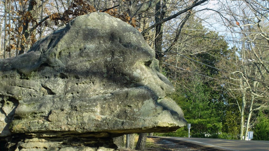 Profile Rock Formation, N Bragg Avenue, near Point Park, Lookout Mountain