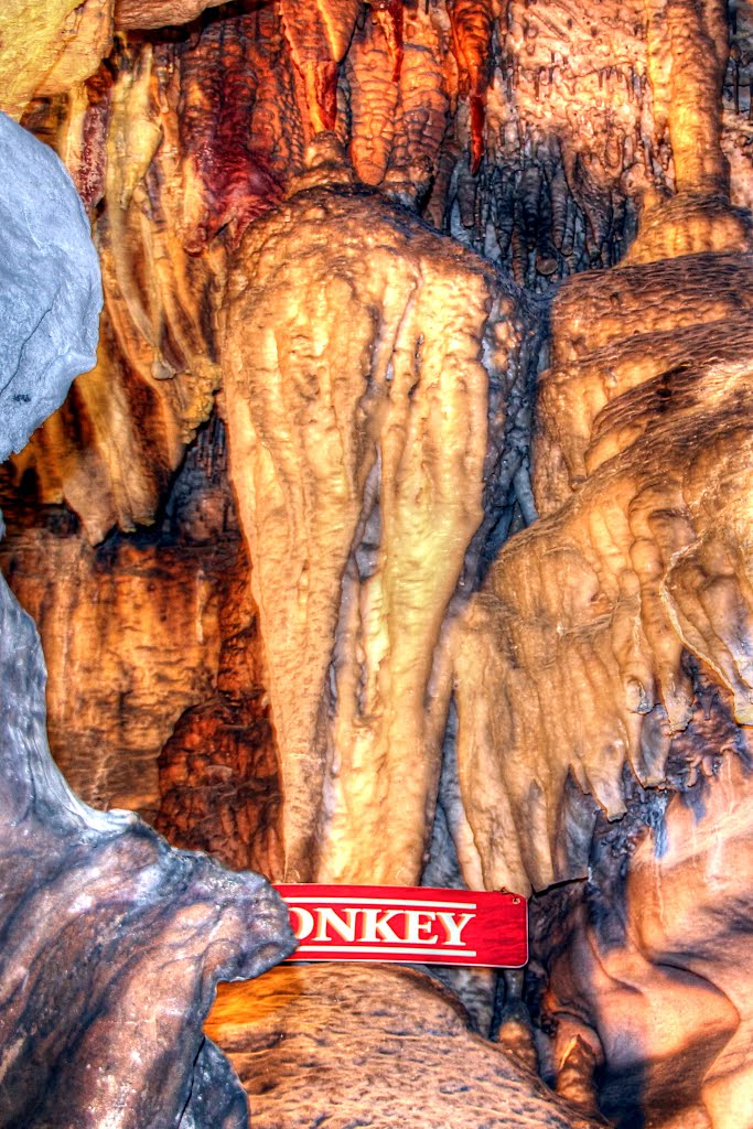 "Donkeys rear end," Ruby Falls Cave, TN
