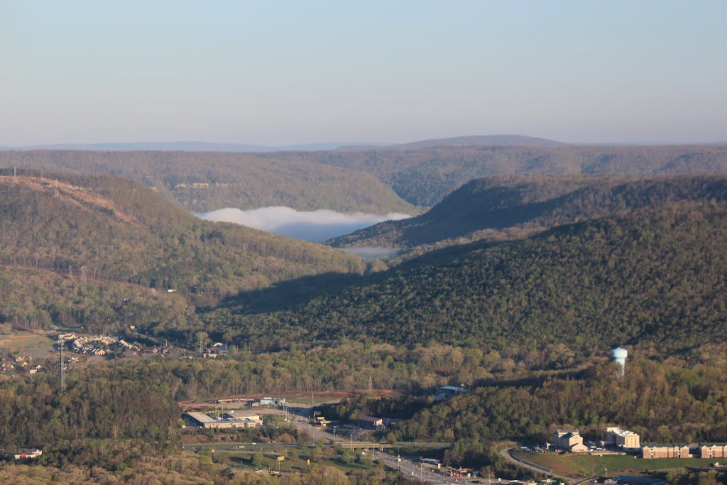 Raccoon Mountain Mist