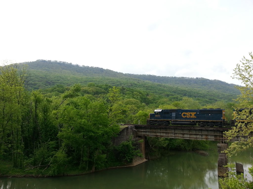 Locomotive au-dessus de Lookout Creek