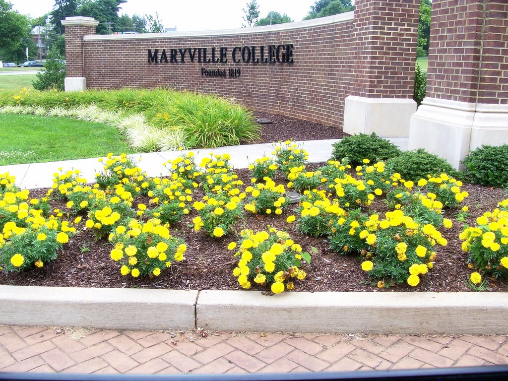 Maryville College Blount County TN
