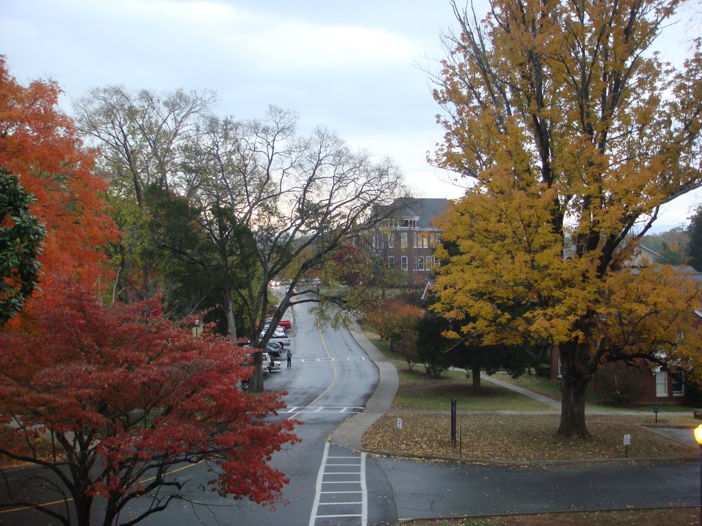 Marville College Elong