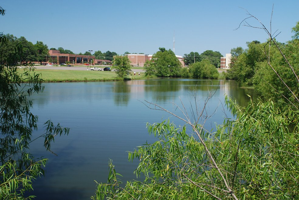 The Pond on The Univ of Tennessee at Martin campus
