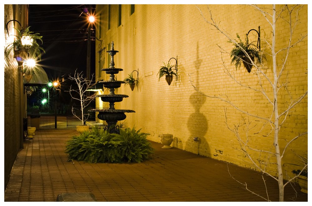 S. Lindell St. at Night
