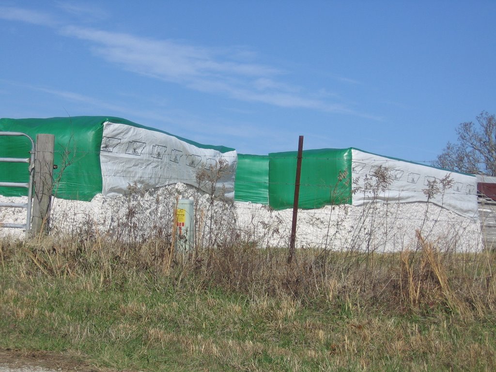 Cotton bales
