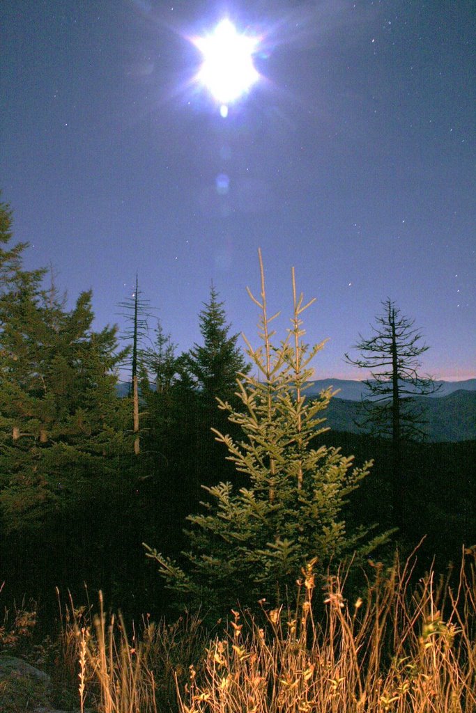 Moon Glow