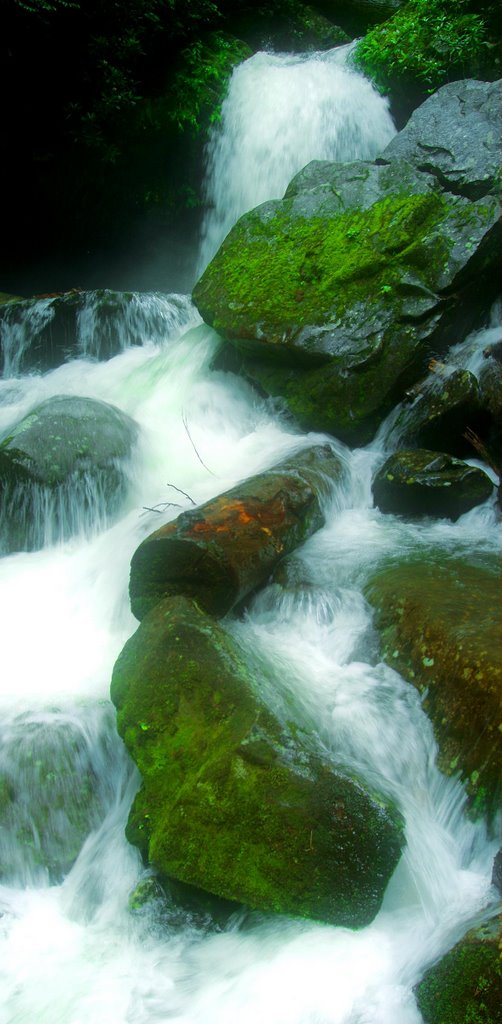 Grotto Falls Gatlinburg TN