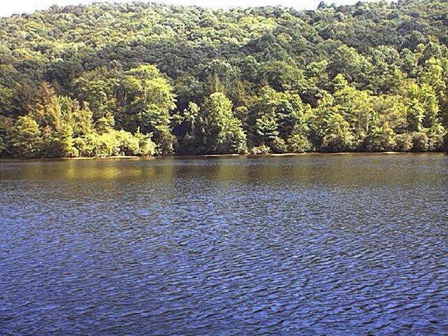 Big Cherry Lake on Powell Mountain near Big Stone Gap, Va.