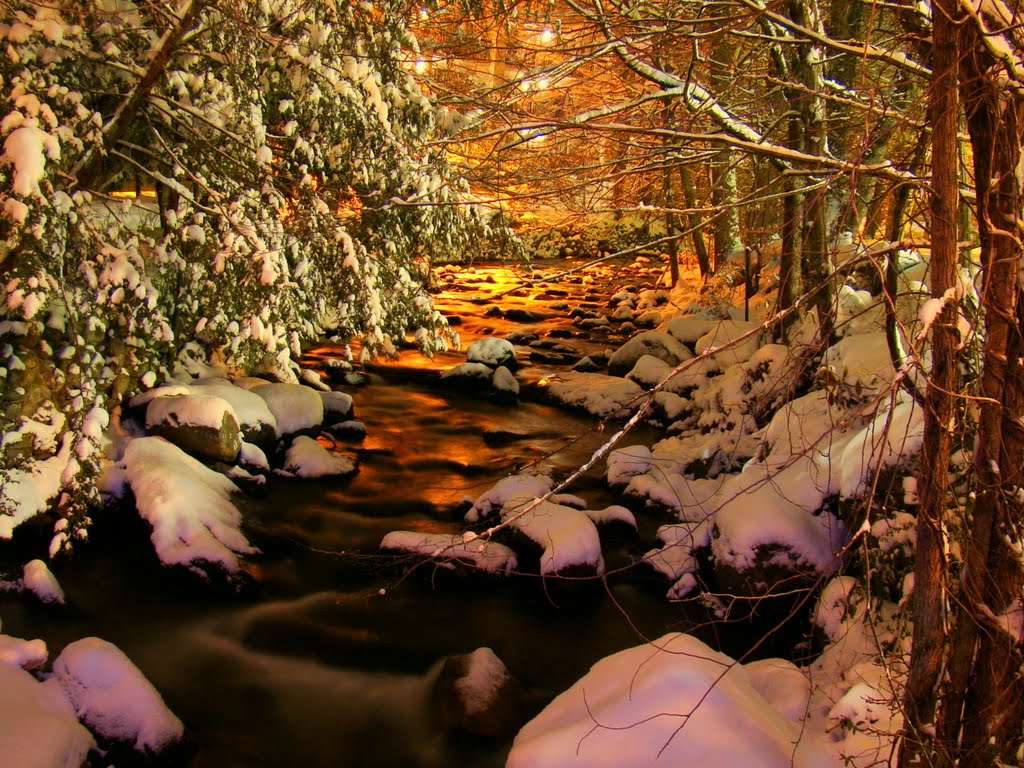 DSC06468 Gatlinburg at Night