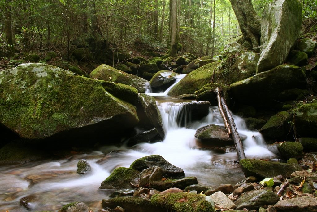Lower Higgins Creek