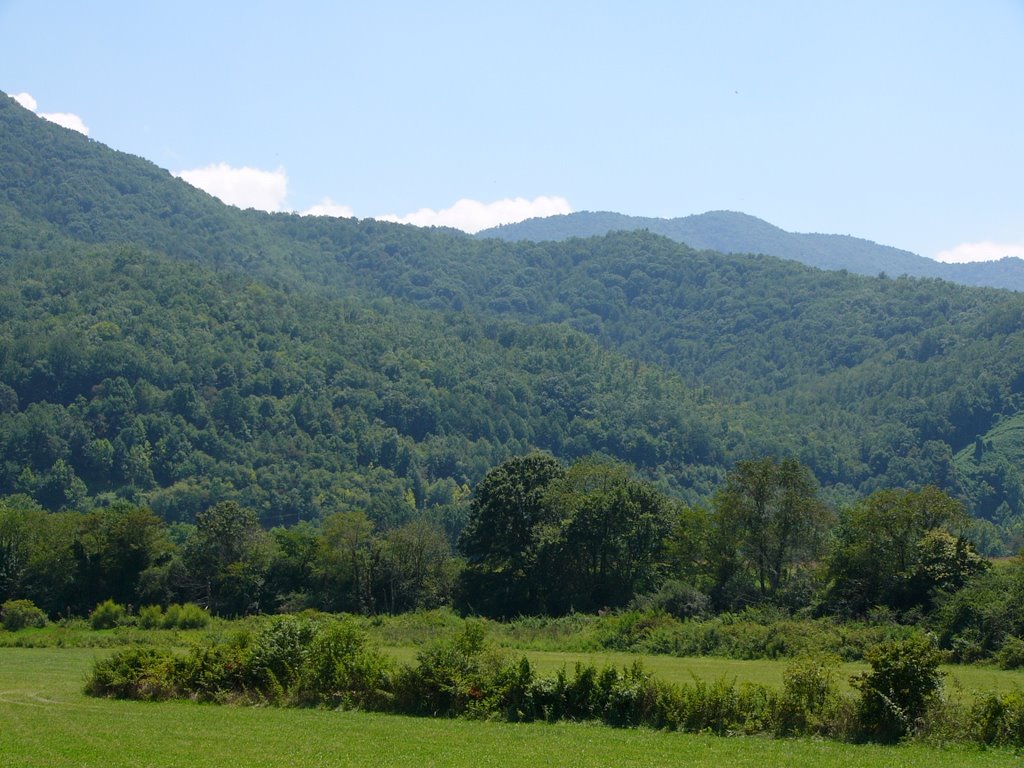 Blue Ridge Mountains near Swannanoa, NC