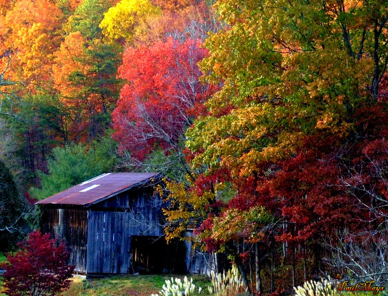 Pineville