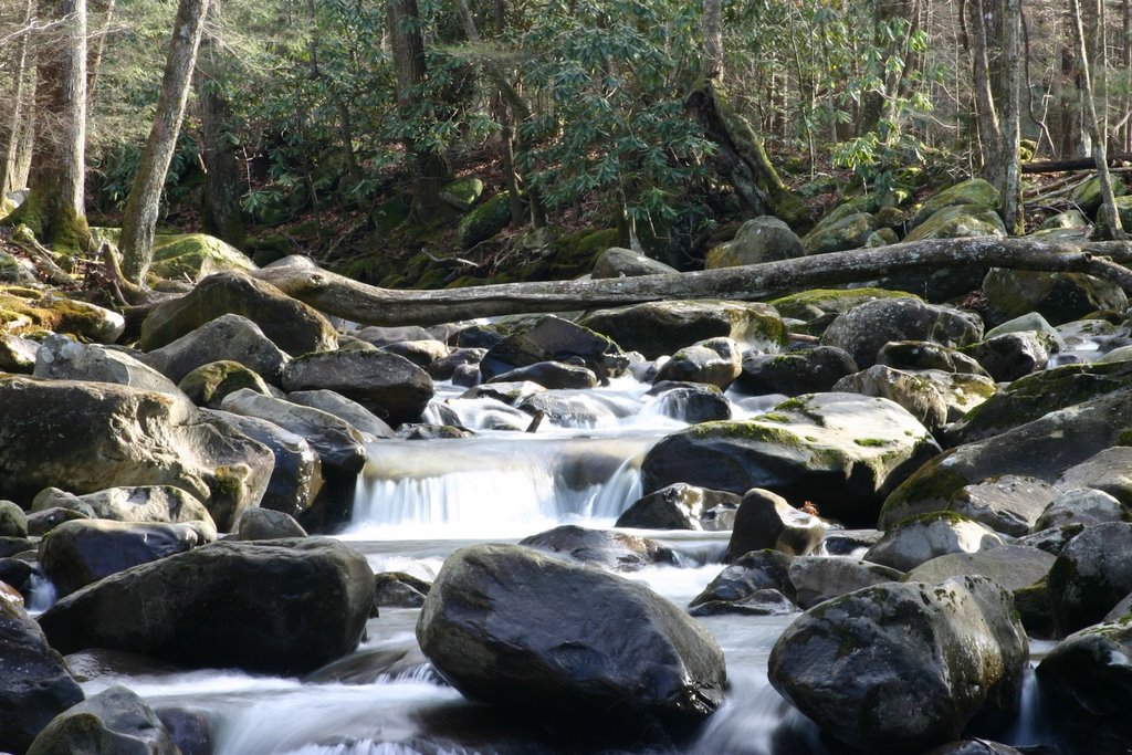 Greenbriar, Great Smokey Mountains