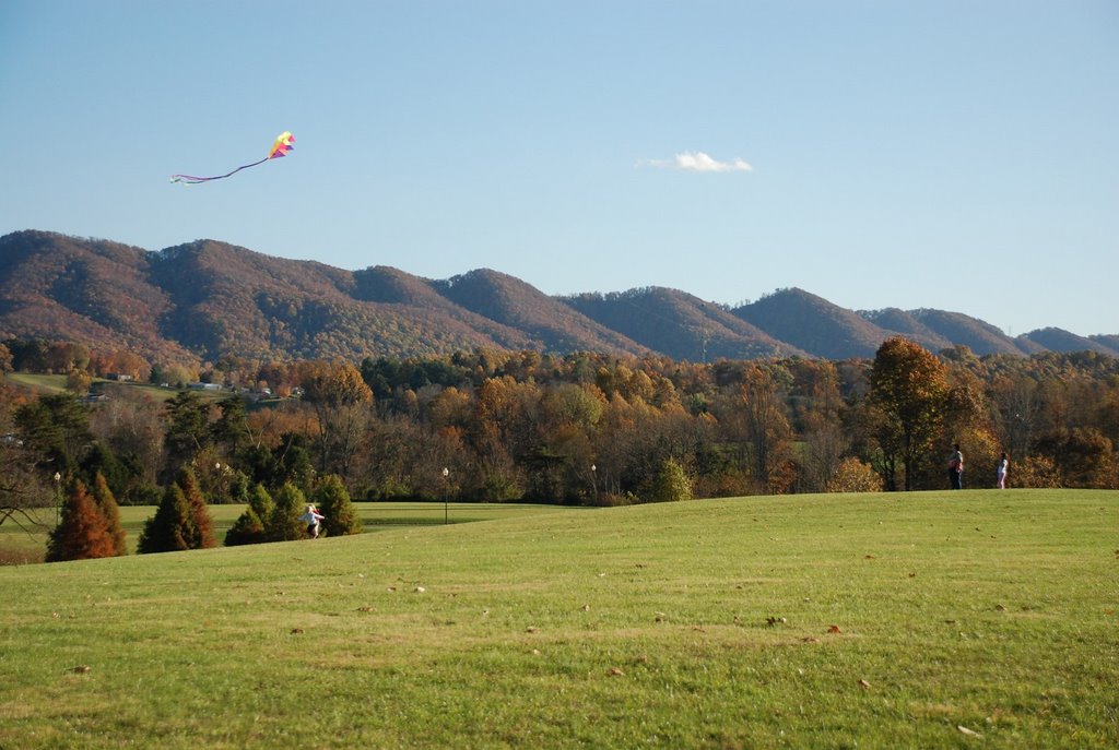 Willow Springs Park