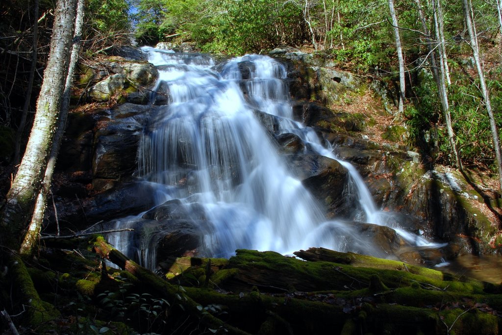 Lower Higgins Creek Falls