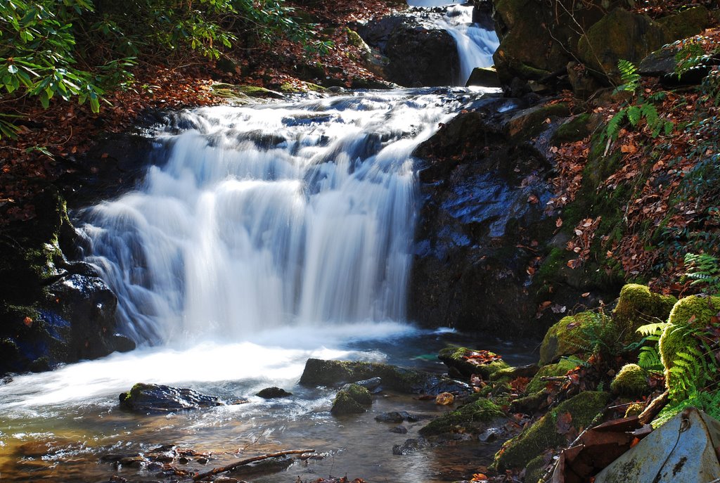Devil Fork Falls