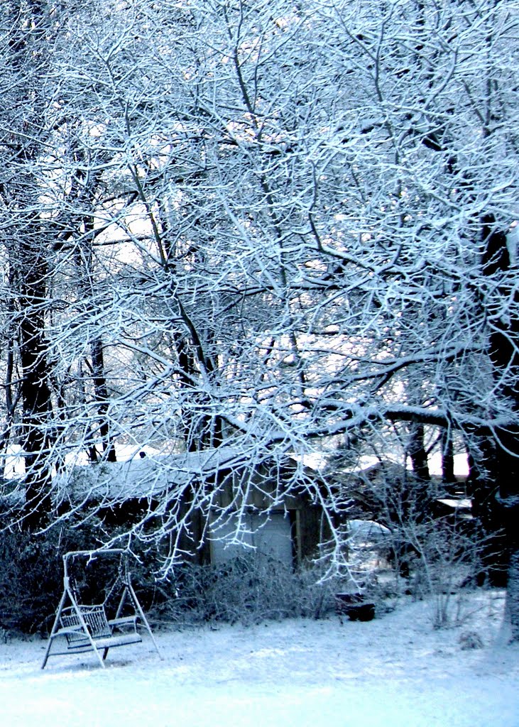Snow Swings