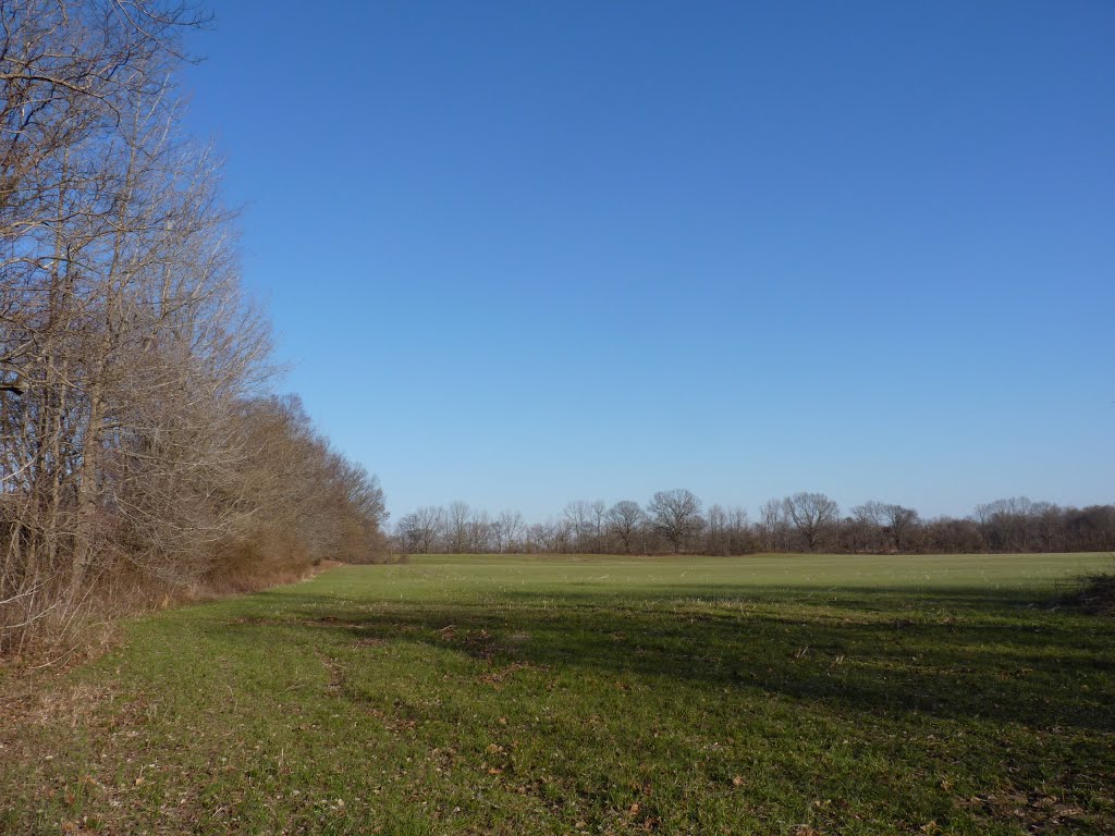 Millington, TN Field