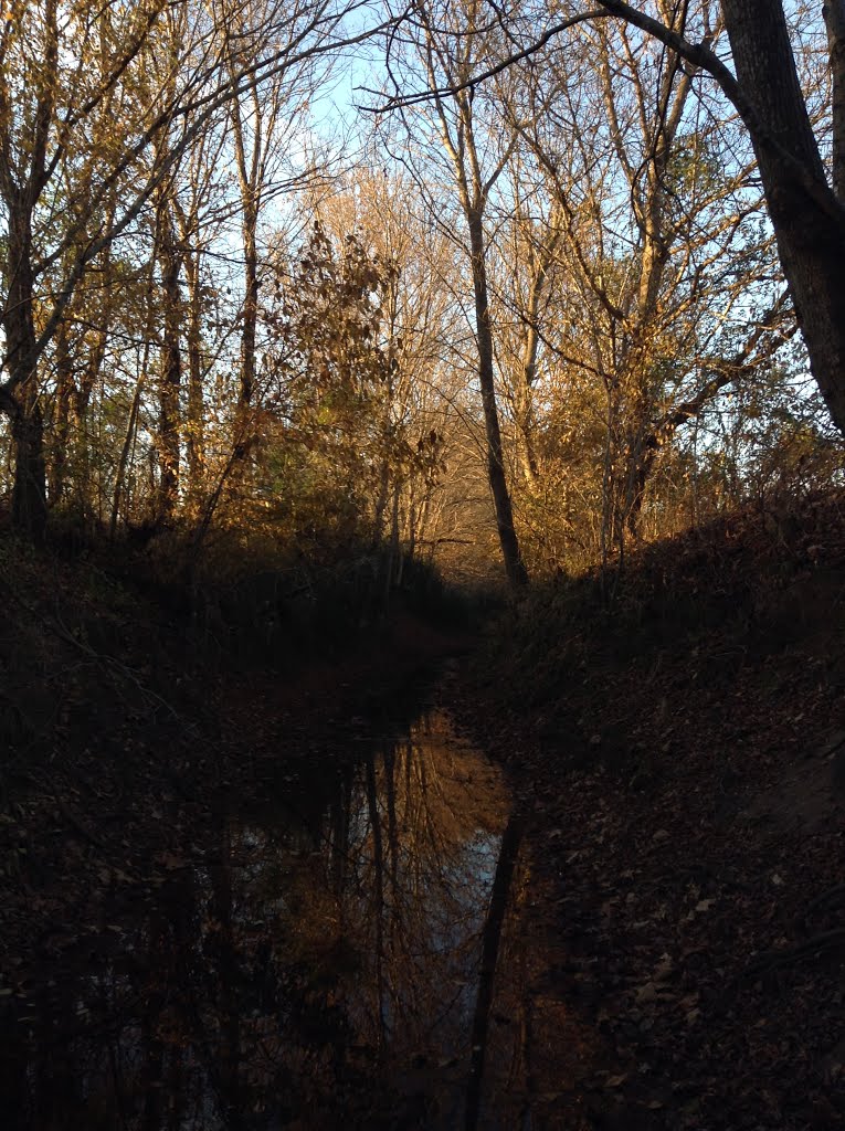Bear Creek in Fall