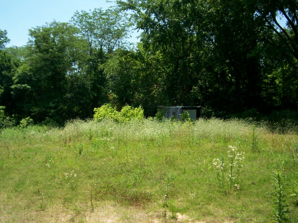 2006-6-14_Watson Rd_1