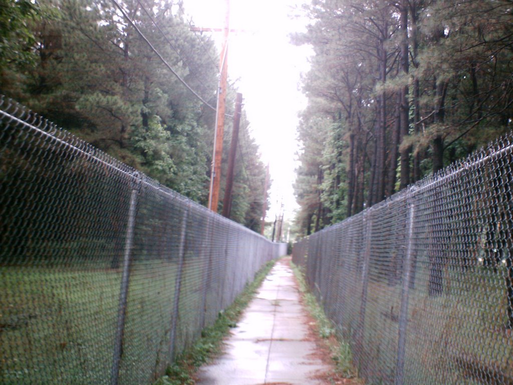 An alternate sidewalk