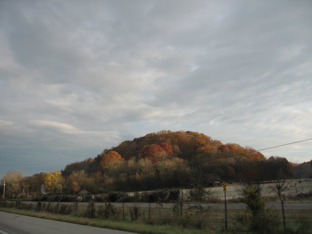 Fall in Middle TN on I-65
