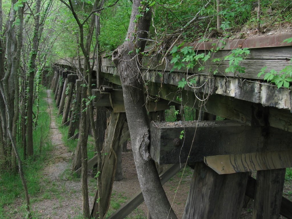 Duck River RR Bridge